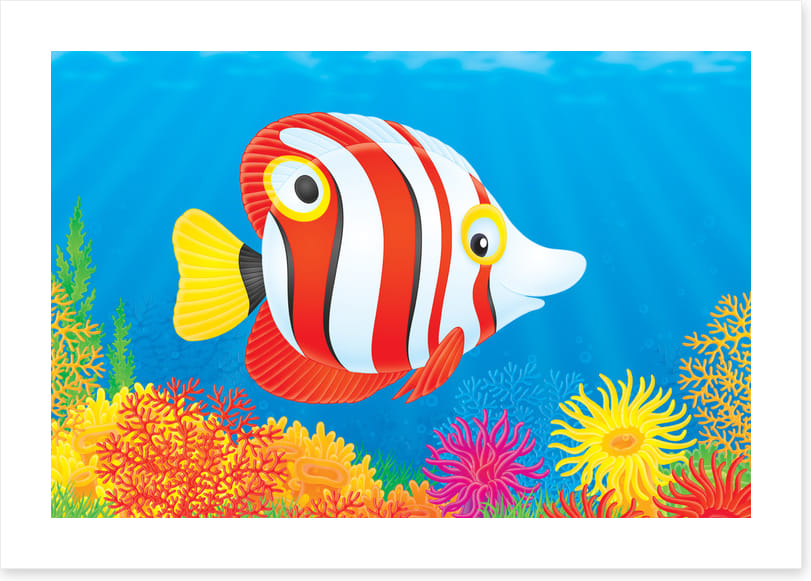 Under The Sea