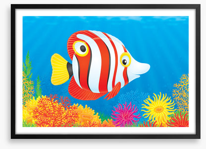 Under The Sea