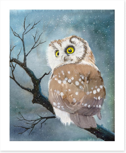 The night owl