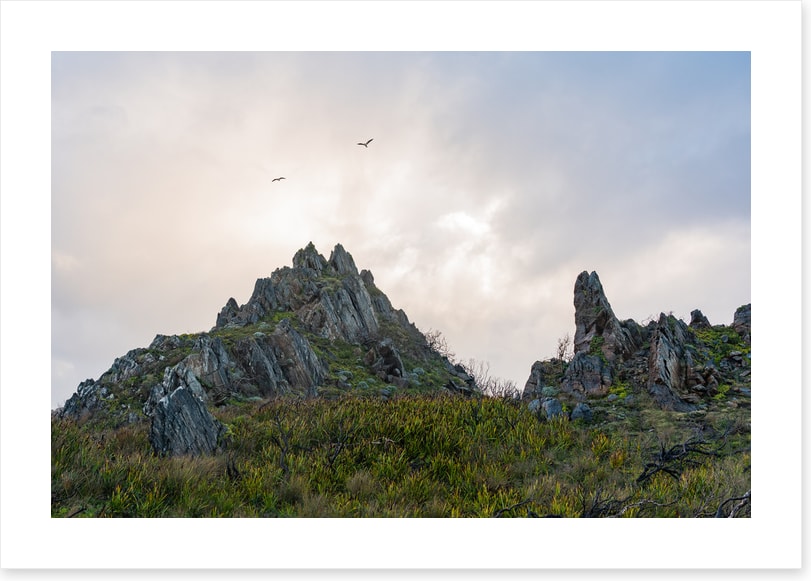 As birds fly