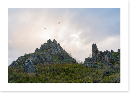 As birds fly