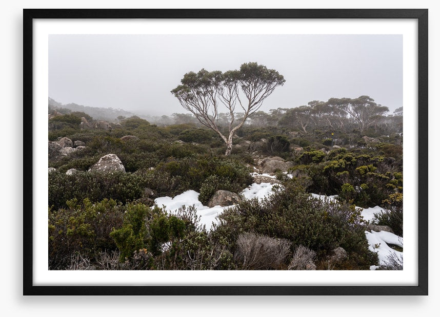 Mt Wellington winter