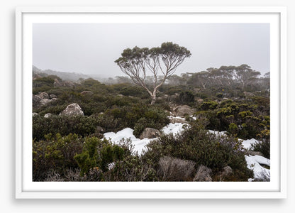 Mt Wellington winter