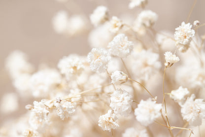 Tender wild