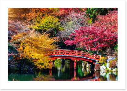 Kyoto fall