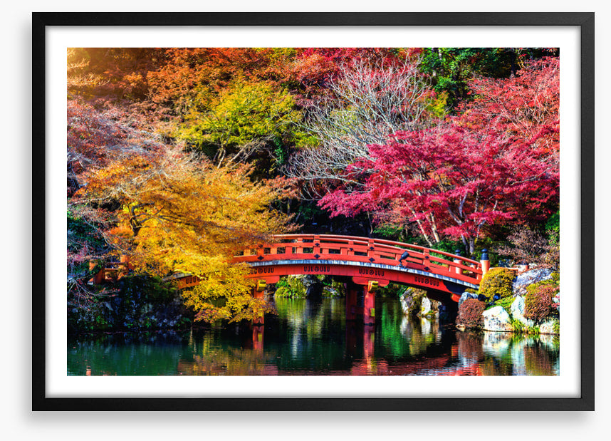 Kyoto fall