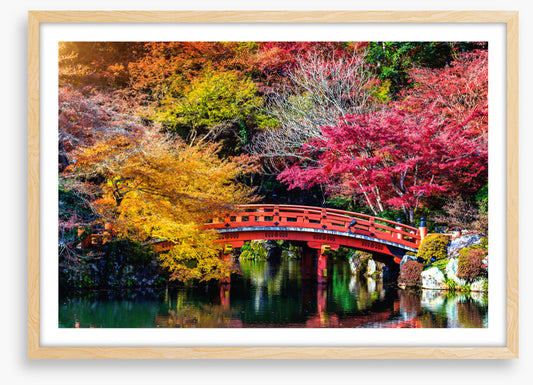 Kyoto fall