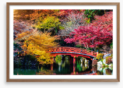 Kyoto fall