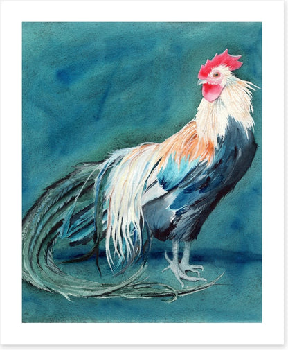 Ruling the roost