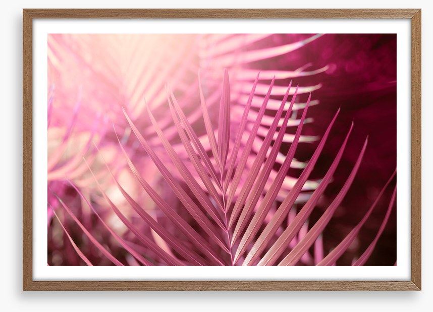 Palms in pink