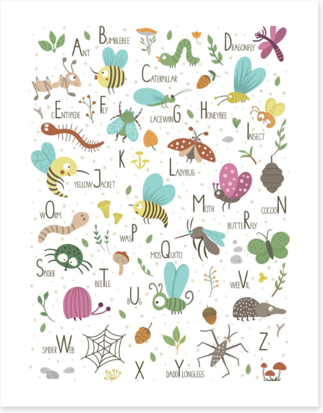 A is for ant