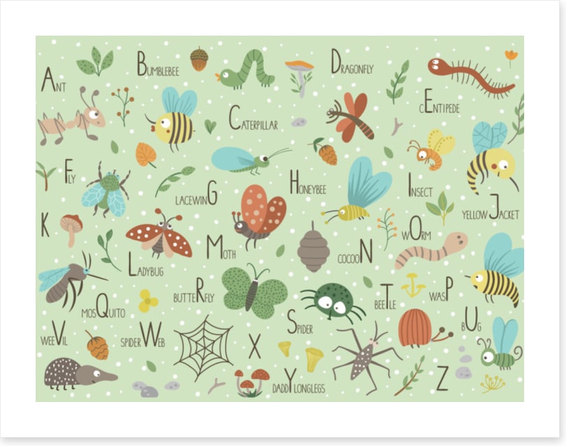 Insect alphabet
