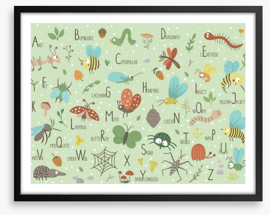 Insect alphabet
