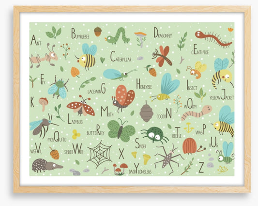 Insect alphabet