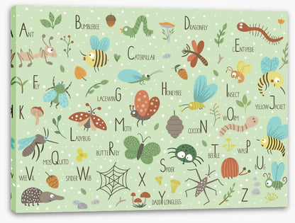 Insect alphabet