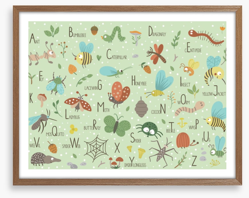 Insect alphabet