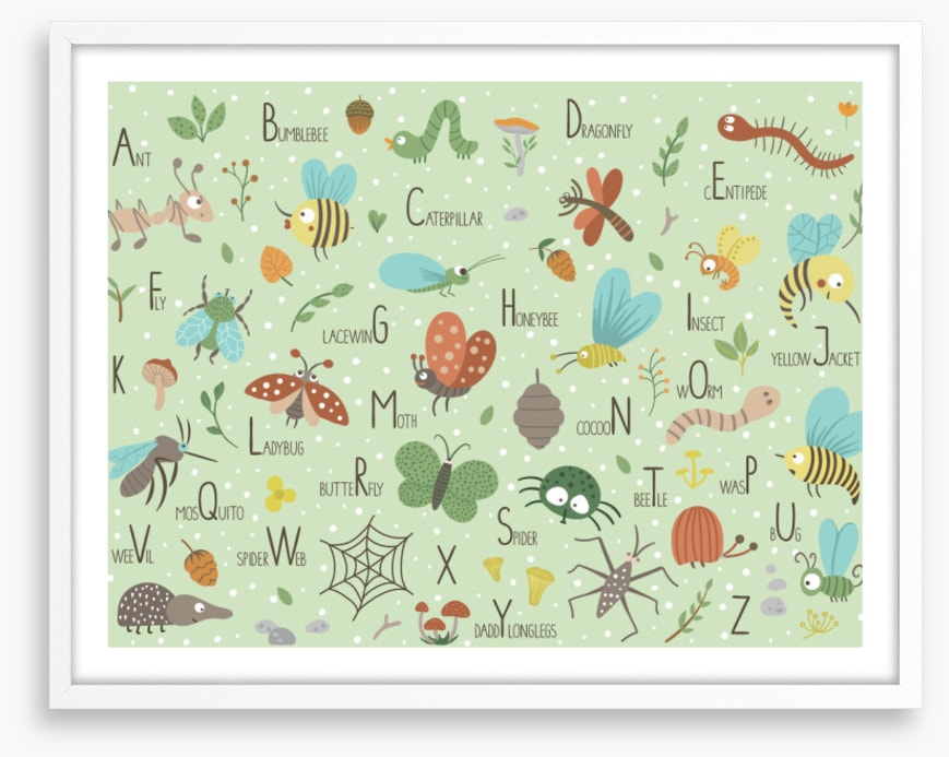 Insect alphabet