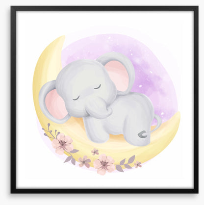 Elephants
