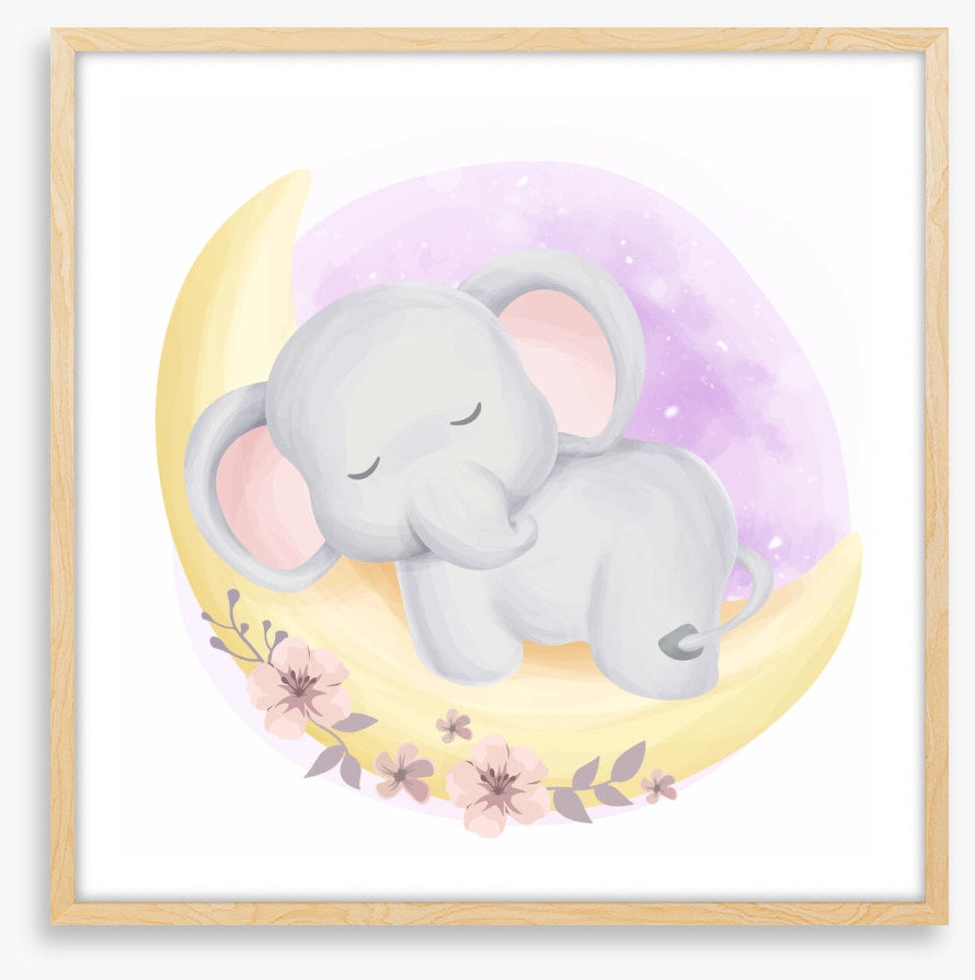 Elephants