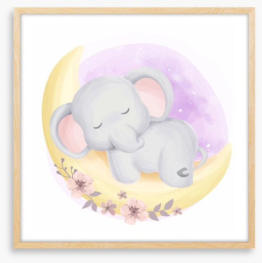 Elephants