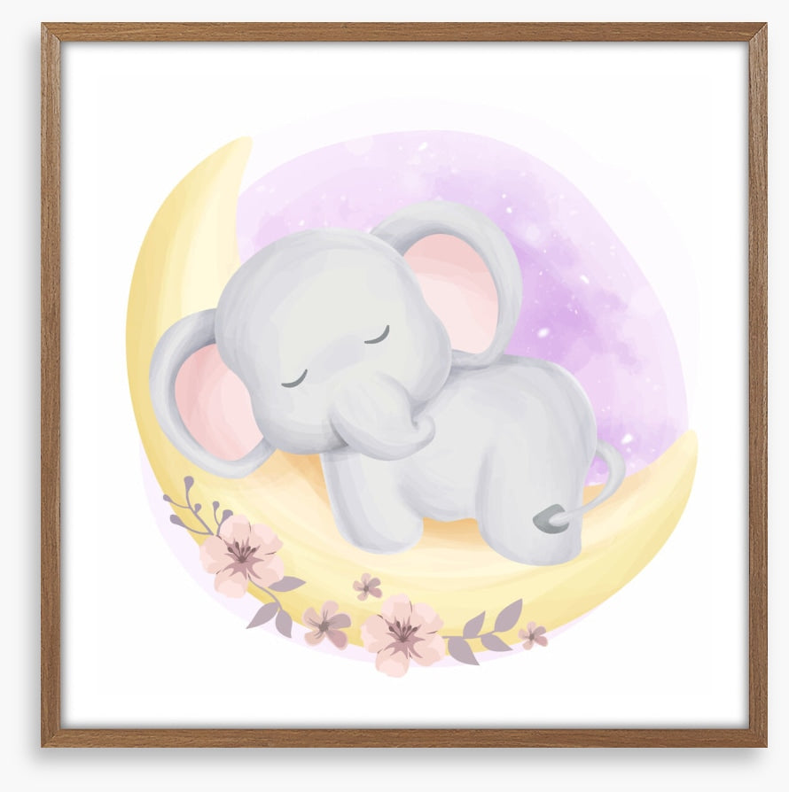 Elephants