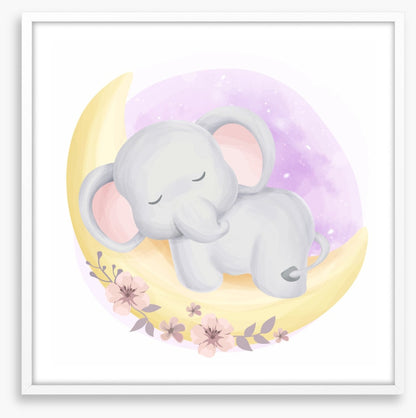 Elephants
