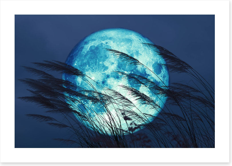 Bluegrass moon