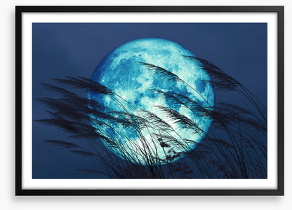 Bluegrass moon