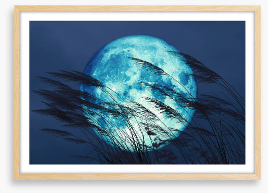 Bluegrass moon