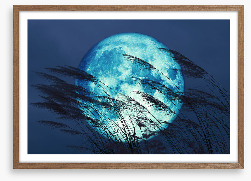 Bluegrass moon