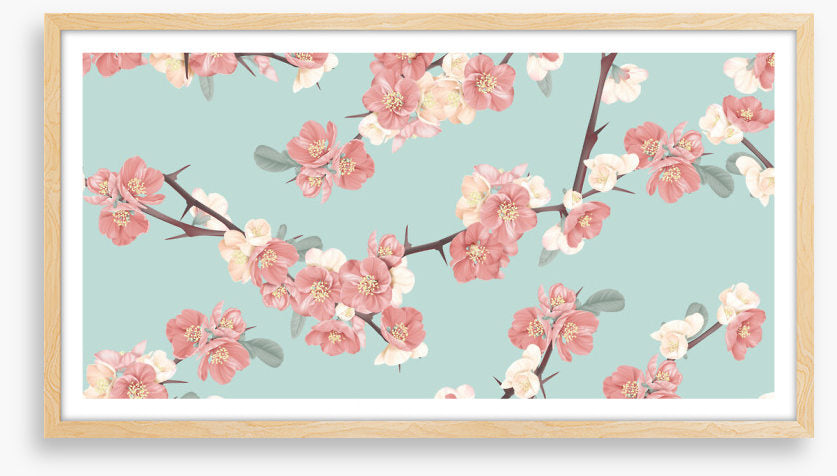 Spring