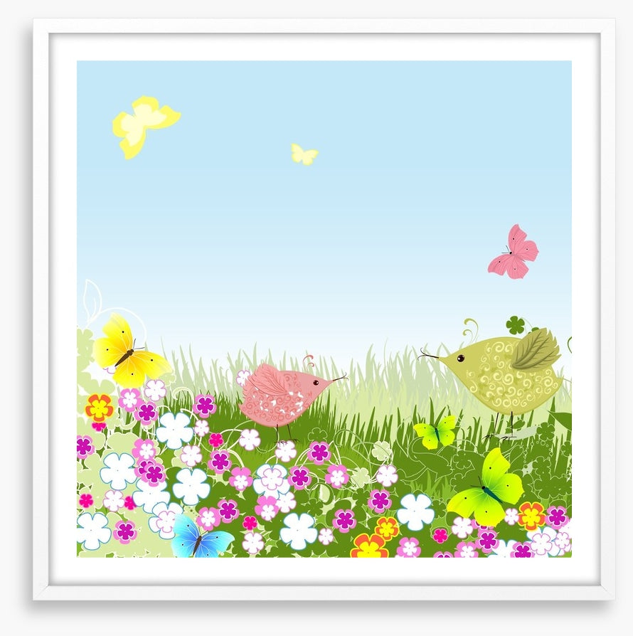 Birds on the lawn