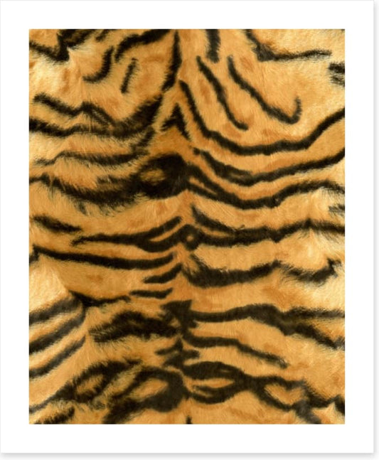 Animal Print