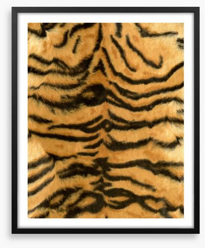 Animal Print