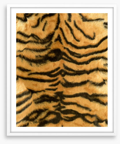 Animal Print