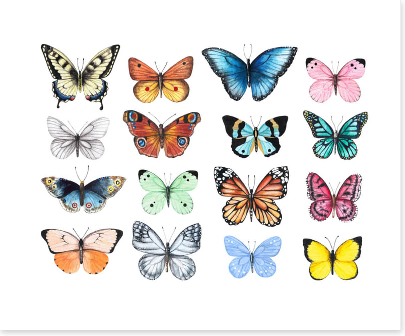Butterflies