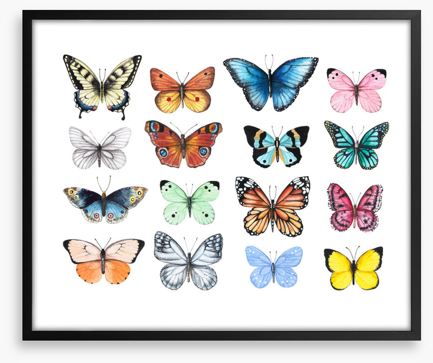 Butterflies