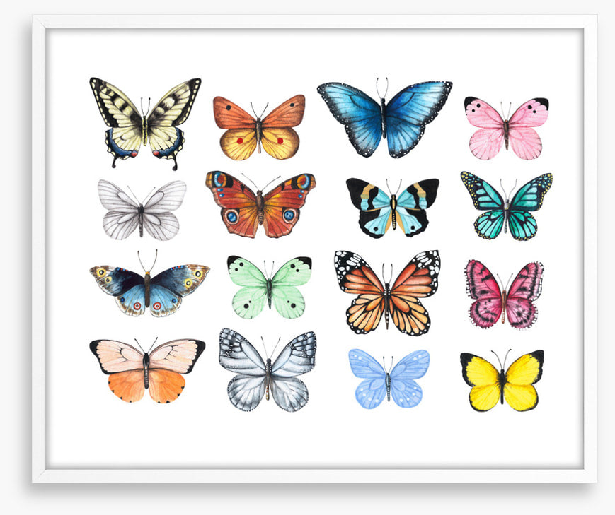 Butterflies