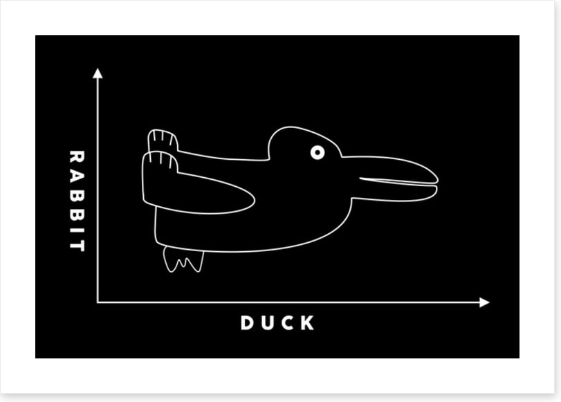 Rabbit duck