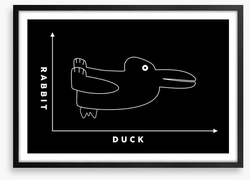 Rabbit duck
