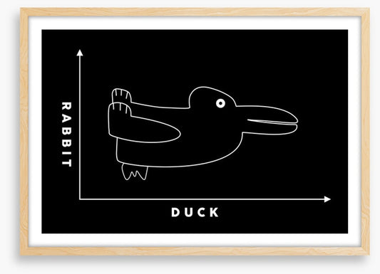 Rabbit duck
