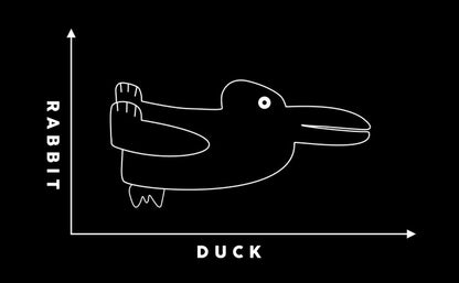 Rabbit duck