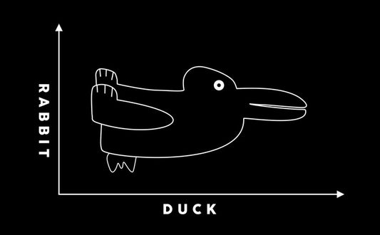 Rabbit duck