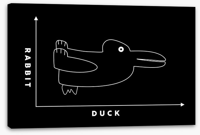 Rabbit duck