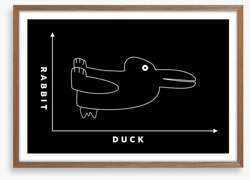 Rabbit duck