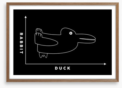 Rabbit duck
