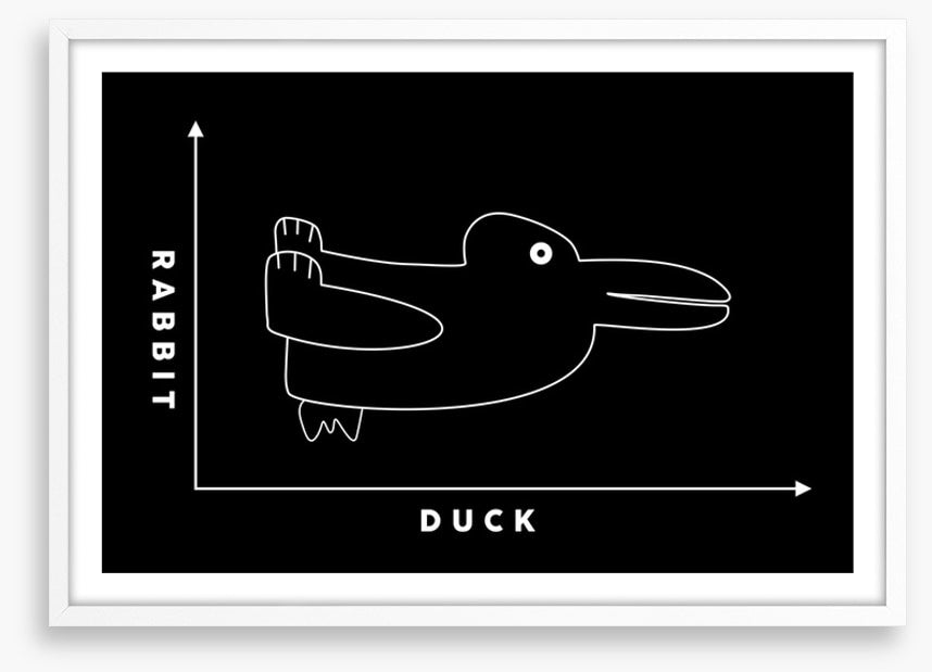 Rabbit duck