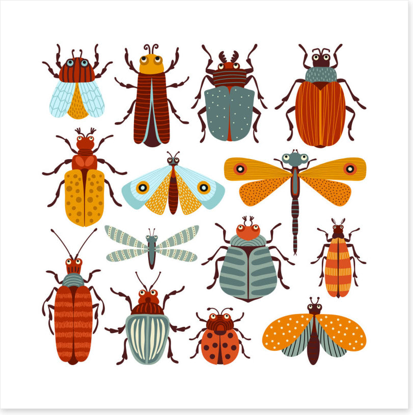 Beetles and butterflies
