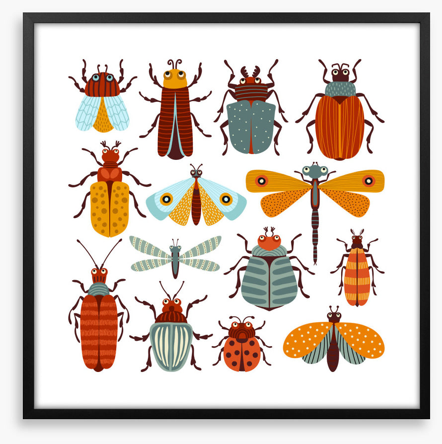 Beetles and butterflies