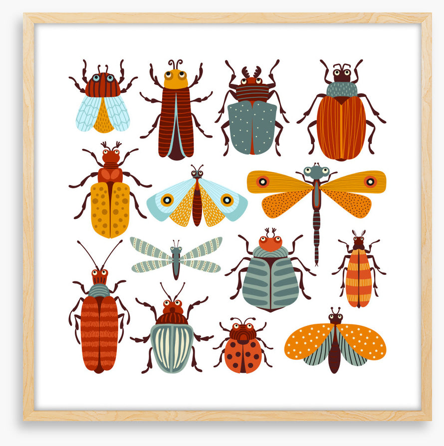 Beetles and butterflies